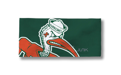 University of Miami: Sebastian Big Bang Lite Headband