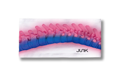 Dr. Betsy Grunch: Vertabrae Wave Big Bang Lite Headband