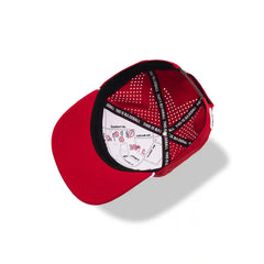 University of Arkansas: Baseball Apex Hat Cardinal